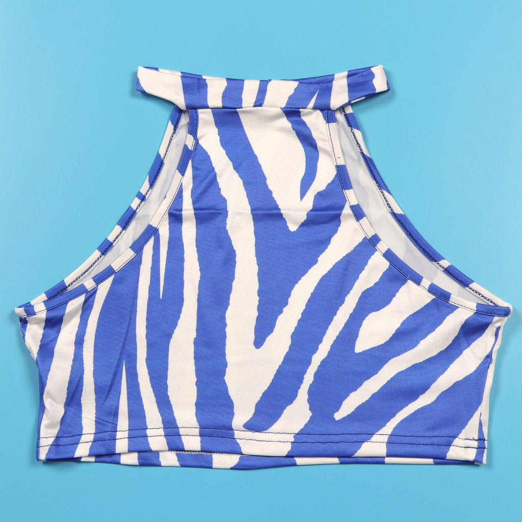 Summer Women Sets | Sleeveless Sexy Striped Print Crop Top and Long Skirt Set | Night Club Party Beach 2 Two Piece Sets
