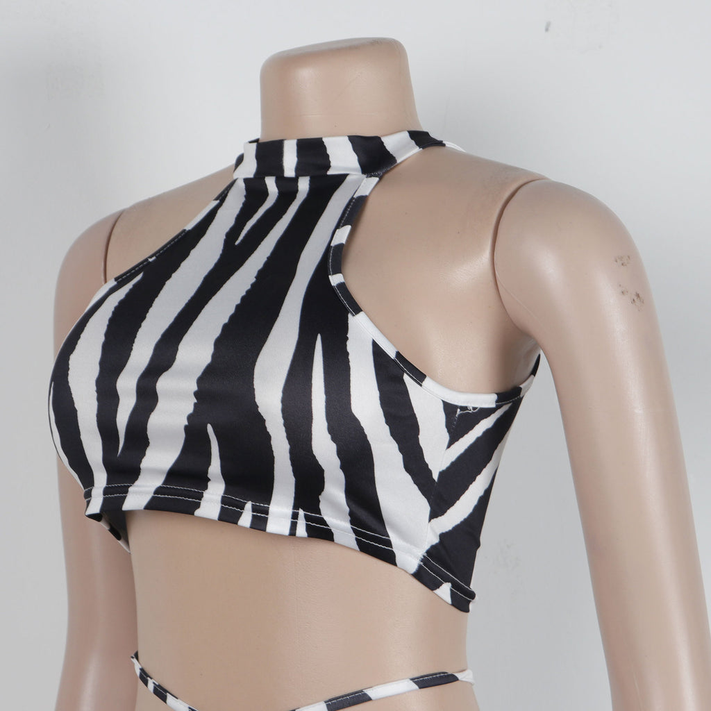 Summer Women Sets | Sleeveless Sexy Striped Print Crop Top and Long Skirt Set | Night Club Party Beach 2 Two Piece Sets