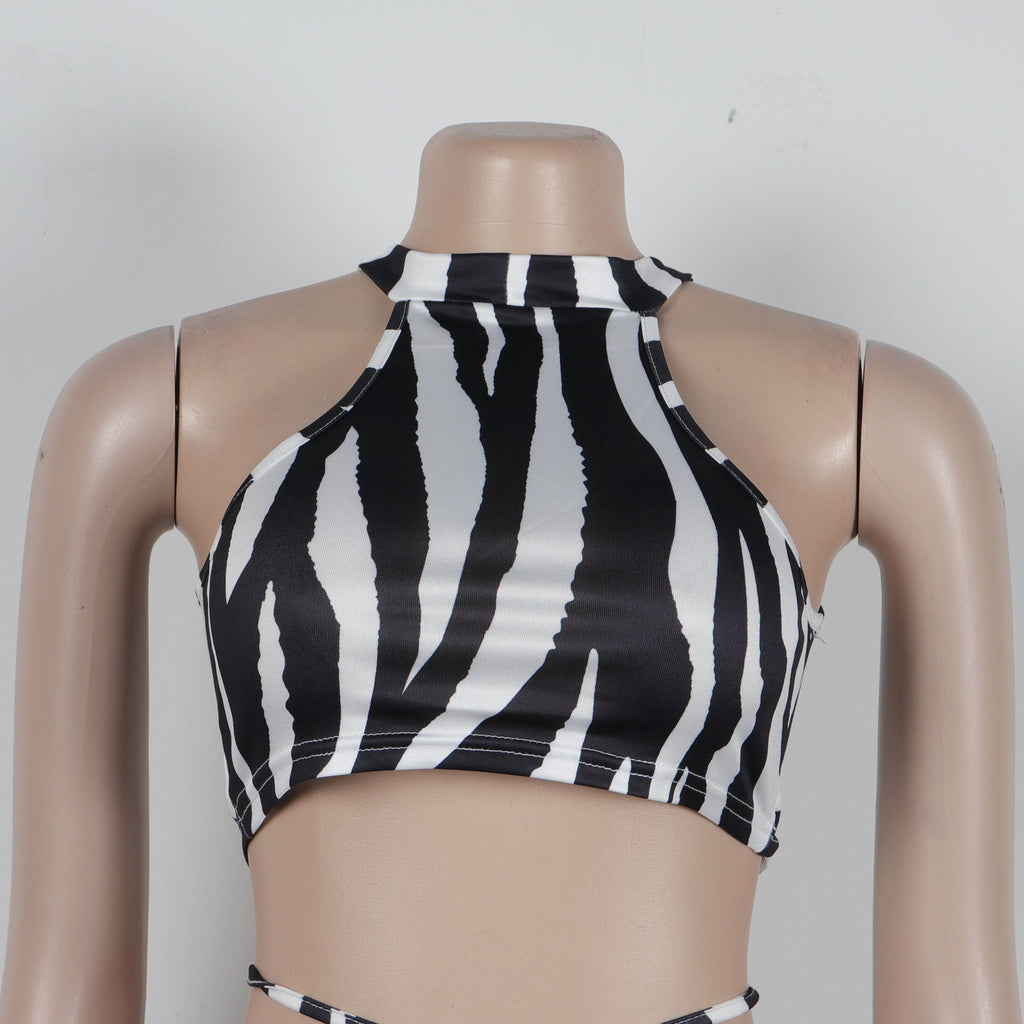 Summer Women Sets | Sleeveless Sexy Striped Print Crop Top and Long Skirt Set | Night Club Party Beach 2 Two Piece Sets