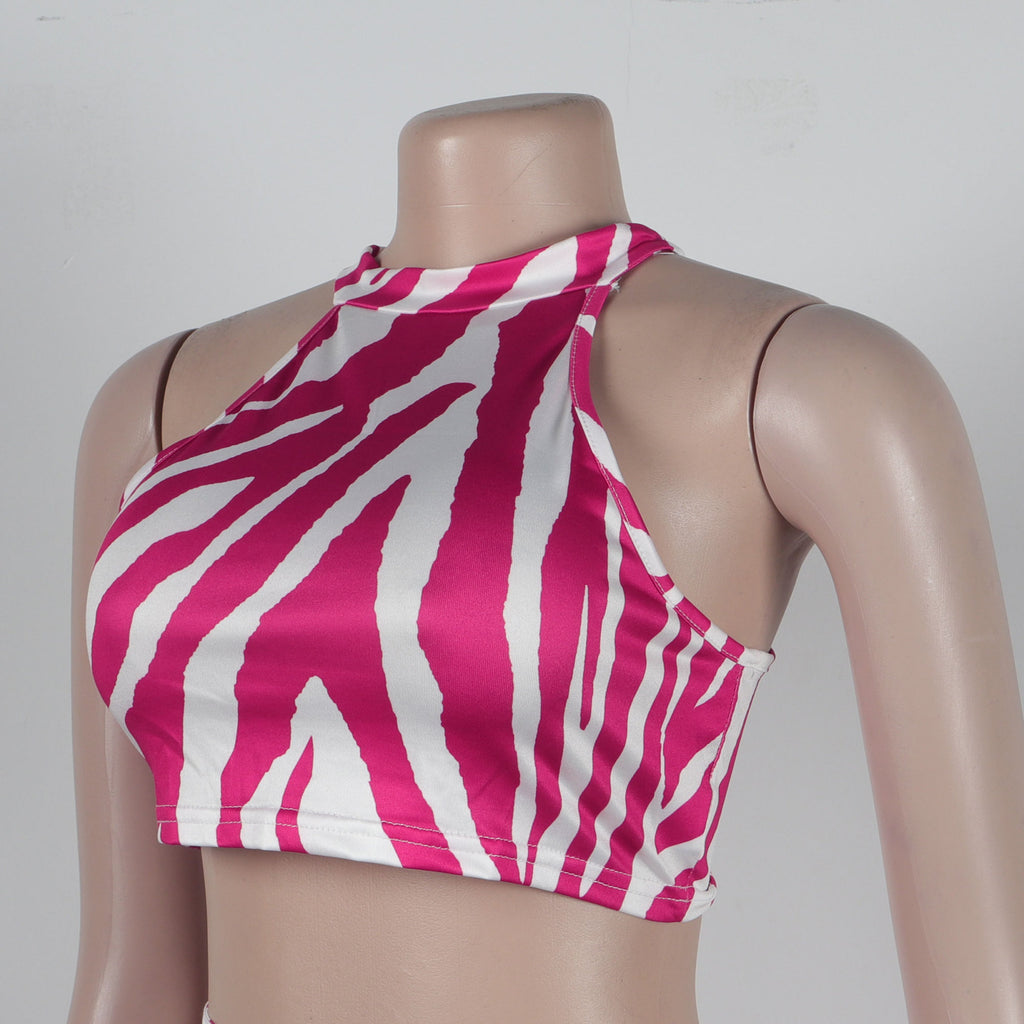 Summer Women Sets | Sleeveless Sexy Striped Print Crop Top and Long Skirt Set | Night Club Party Beach 2 Two Piece Sets