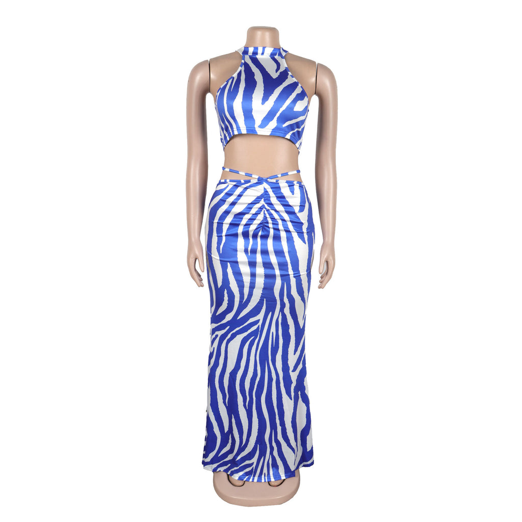 Summer Women Sets | Sleeveless Sexy Striped Print Crop Top and Long Skirt Set | Night Club Party Beach 2 Two Piece Sets