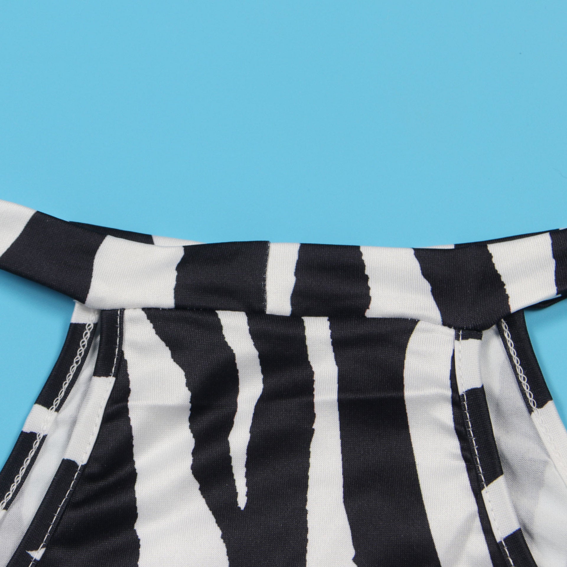 Summer Women Sets | Sleeveless Sexy Striped Print Crop Top and Long Skirt Set | Night Club Party Beach 2 Two Piece Sets