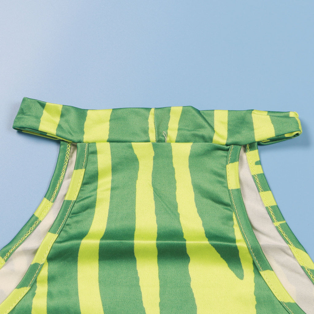 Summer Women Sets | Sleeveless Sexy Striped Print Crop Top and Long Skirt Set | Night Club Party Beach 2 Two Piece Sets