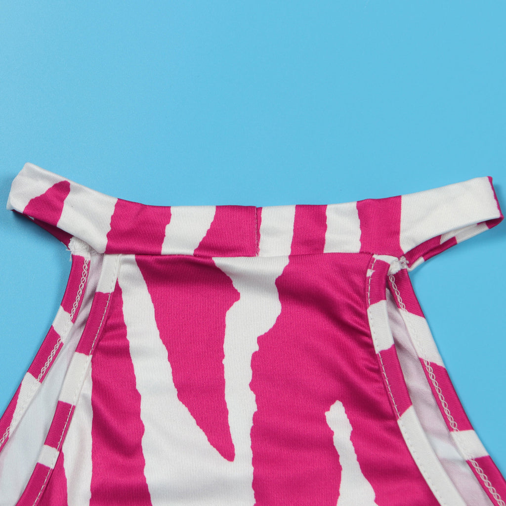 Summer Women Sets | Sleeveless Sexy Striped Print Crop Top and Long Skirt Set | Night Club Party Beach 2 Two Piece Sets