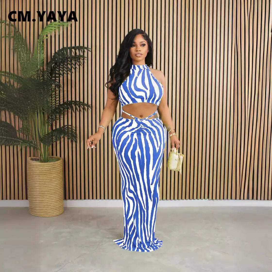 Summer Women Sets | Sleeveless Sexy Striped Print Crop Top and Long Skirt Set | Night Club Party Beach 2 Two Piece Sets